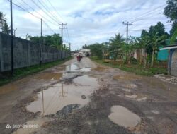 Tak Kunjung Diperbaiki, Warga Tanjung Bintang Keluhkan Jalan Seperti Kubangan Kerbau