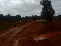 Galian C Tambang Baukset Marak Kawasan Hutan Lindung