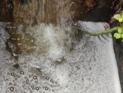 IPAL PT Shye Chang Batam Membuang Air Limbah Berbusa Keparit 