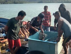 Nelayan Lingga,Desa Posek Panen Centang 3 Ton