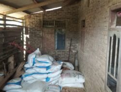 Miris.!! Salah satu Ketua Kelompok Tani (Poktan) Dusun Nurul Amal diduga Menjual Pupuk Subsidi Untuk Kepentingan Pribadi