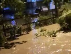 Pemukiman Warga Desa Way Kepayang Terendam Banjir.