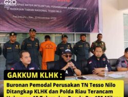 Gakkum KLHK dan Polda Riau Mengamankan Buronan Pemodal Perusakan Kawasan TN Tesso Nilo Pekanbaru 