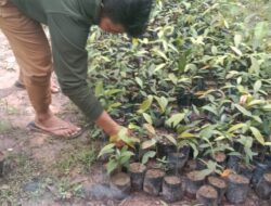 DPD Sekber Wartawan Indonesia Batam Melakukan Persiapan Giat Penanaman Pohon Menjaga Sumber Mata Air