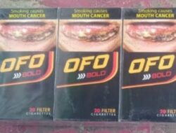 Harga Rokok illegal HD dan OFO Terus Melambung, di duga “upeti” bertambah. 
