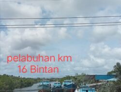 Pelabuhan Km 16 Bintan diduga Ilegal disenyalir Bekingi Oknum Aparat 