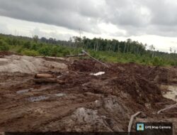 Disinyalir Oknum Anggota DPRD Aktif Kota Singkawang Terlibat Kegiatan PETI Ilegal diKetapang