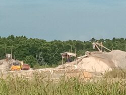 Dampak Parah Kerusakan Lingkungan Akibat Tambang Pasir Sedot Batu Besar Nongsa