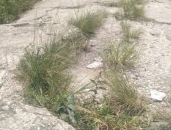 Jalan Rusak Parah, Masyarakat Desa Tenan Minta Pemerintah Tidak Tinggal Diam 