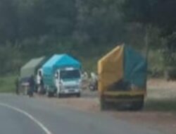DPW Ketua IMOI Kalbar Apresiasi Kinerja SPORC Gakkum KLHK Kalbar Mengamankan 2 Unit Truck Membawa Puluhan Ton Kayu Ulin