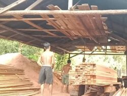 Marak Dugaan Aktivitas Ilegal Logging Tidak Jauh Kantor Desa Nanga Tayap 