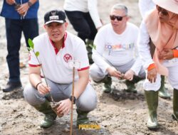 Peringatan HAB, Kemenag Lampung Bersama Bupati Pesawaran Tanam Mangrove