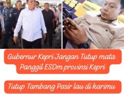 Harley Bicara: Minta Gubernur Kepri Pecat Kadis ESDM Kepri Kinerja Kurang Maksimal
