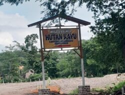 Wisata Kuliner Hutan Kayu Simpang Tiga Gunung Batin Udik