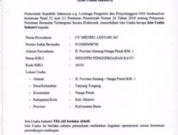Pengusaha Kayu Akiong Tegaskan Miliki Perizinan Usaha Kayu, Ketua DPW IWO INDONESIA Provinsi Kalbar dan Sekjen Angkat Bicara