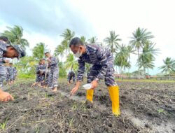 Dalam Rangka Program Ketahanan Pangan Nasional Tahun 2024. Komandan Pangkalan TNI AL Danlanal Ranai Pimpin Langsung Penanaman Jagung 