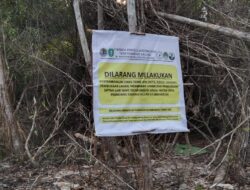 Meminimalisir Kerusakan Hutan Kawasan Akibat Aktivitas Tambang Ilegal, LPHD Desa Pematang Rutin Lakukan Patroli Sekaligus Pemasangan Banner Himbauan