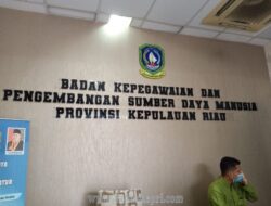 Polemik Pegawai Honorer Makin Memanas di Lingkungan Provinsi Kepri