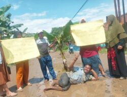 Miris! Menanam Pohon Pisang di Tengah Jalan,Warga Kampung Poncowarno Geram Melihat Jalan Propinsi Tak Kunjung diperbaiki