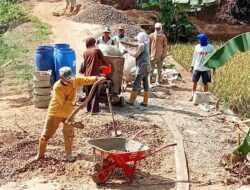 Pekon Bandung Baru Barat Kecamatan Adiluwih Bangun Jalan Rabat Beton T.A-2024