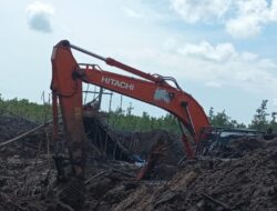 Belum Genap Setahun Korban Meninggal Tertimbun Perkerja Tambang Peti  dilokasi Km 26, Diduga Excavator Milik Aleng  Mulai Beraktivitas Lagi Hutan  Kawasan Lubuk Toman
