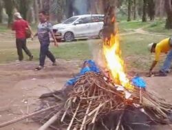 Meresahkan, Polsek Padang Ratu Bubarkan Praktek Judi Sabung Ayam di Perkebunan Sawit