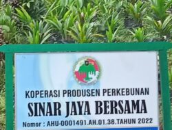 Diduga Penggelapan Uang Petani Plasma dilakukan PT SMS PT Mukti Plantision di Kecamatan Sandai  