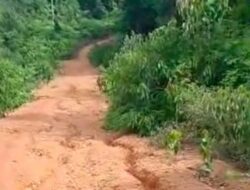 Kecewaan Warga, Penyataan Alias Wello Menuntaskan Pembangunan Jalan Penghubung Dua Desa