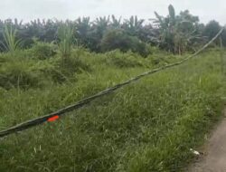 AMOK Minta Pihak PLN Turun Ke Lapangan dan Jagan Ada Pembiaran Aliran Kabel Melintang Semeraut dijalanan