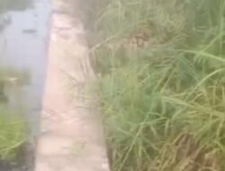 Proyek Siluman Pembangunan Saluran Drainase Dinas Provinsi Kalbar  Jadi Sorotan publik