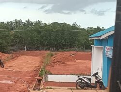 Sorot Publik, Aktivitas Kegiatan Penimbunan Ekosistem Mangrove di Sei Enam Terhenti akibat Viral diberitakan