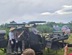 Dandim 1209/Bengkayang Letkol  Inf.Albertinus Mariano S.E., bersama Forkopimda Panen Raya Padi
