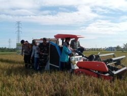 Dukung Swasembada Pangan,Dandim 1202/Skw Bersama Forkopimda Hadiri Panen Raya Padi