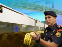 PSDKP Segel Tiga Lokasi Penangkaran Arwana di Pontianak dan Kubu Raya