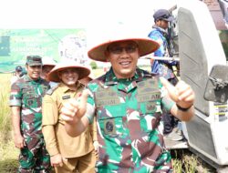 Pangdam dan  Forkopimda Kalbar Mengikuti Panen Raya Padi Bersama Presiden RI
