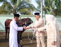 Pangdam XII/Tpr Bersama Prajurit Sholat Idul Adha 1446 H/2025 M dan Melakukan Penyembelihan Hewan Kurba