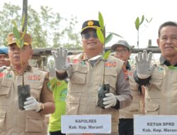 Mari Hijaukan Pesisir Pantai dan Jaga Eko Sistem Alam