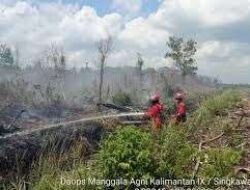 Walikota Tinjau Karhutla Dekat Akses Jalan Bandara, Siapkan Sumur Bor Agar Tidak Meluas