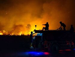 Pemerintah Kota Singkawang Terus Berupaya Memadamkan Api Di Sekitaran Area Jalan Bandara Singkawang.