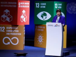 Tampil di Panggung PBB, Ketum APINDO Ditunjuk Jadi Co-Chair Business Steering Committee FFD4