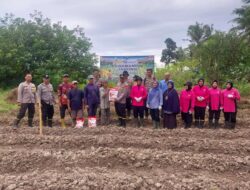 Mendukung Swasembada Pangan Nasional,Polsek Singkawang Utara Melaksanakan kegiatan Penanaman Jagung