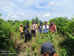 Kedua Kalinya kasus Pengrusakan tanah milik Toni Yang ditangani oleh penyidik Direskrimum Polda Kalbar, Terkesan Lambat