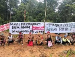 Warga Menolak PT STAR,Hadir Di Kecamatan Siding Khawatir Merusak Hutan Dan Sumber Air