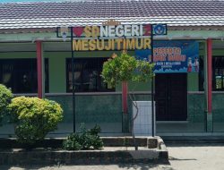 Diduga Sekolah SDN 2 Mesuji Timur Kondisi Tidak Lacak Bagi siswa-siswi untuk Belajar