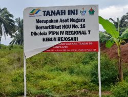 Masyarakat Adat Halangan Ratu Nilai Pemasangan Plang oleh PTPN I Regional 7 Tidak Tepat Lokasi