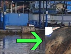 Oli Bekas di Sungai Kapuas: PLTD Parit Baru Diduga Jadi Sumber Pencemaran, Tambak Ikan Warga Terancam Mati