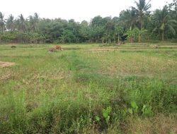 Kanjeng Sulton Mego Sakti Bangun Waduk di Negeri Sakti untuk Cegah Banjir dan Jaga Lingkungan