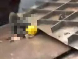 Pekerja Tewas Belum ada Keterangan dari PT KBS, Diduga Garis line Kepolisian Belum dipasang di TKP
