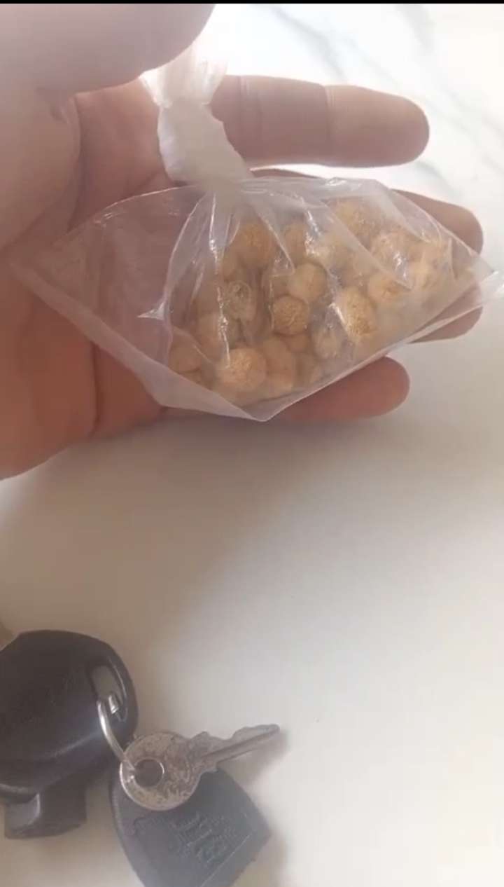 Terbongkar! Jaringan Penampungan dan 