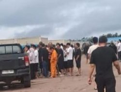 Ratusan WNA di Ketapang Terjaring Sidak Kemnaker, Bekerja Tanpa Dokumen Resmi